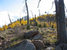 photo thumbnail #7