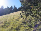 photo thumbnail #3
