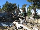photo thumbnail #12