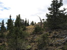 photo thumbnail #13