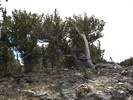 photo thumbnail #14