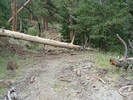 photo thumbnail #5