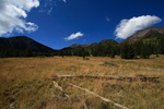 photo thumbnail #8