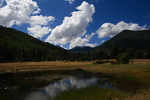 photo thumbnail #10