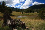 photo thumbnail #11