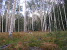 photo thumbnail #3