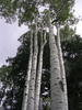 photo thumbnail #9