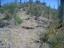 photo thumbnail #4