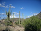 photo thumbnail #6