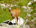 photo thumbnail #2