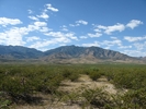 photo thumbnail #2