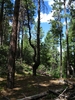 photo thumbnail #8