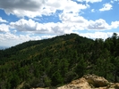 photo thumbnail #13