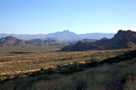 photo thumbnail #6