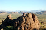 photo thumbnail #8