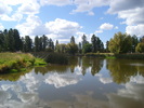 photo thumbnail #6
