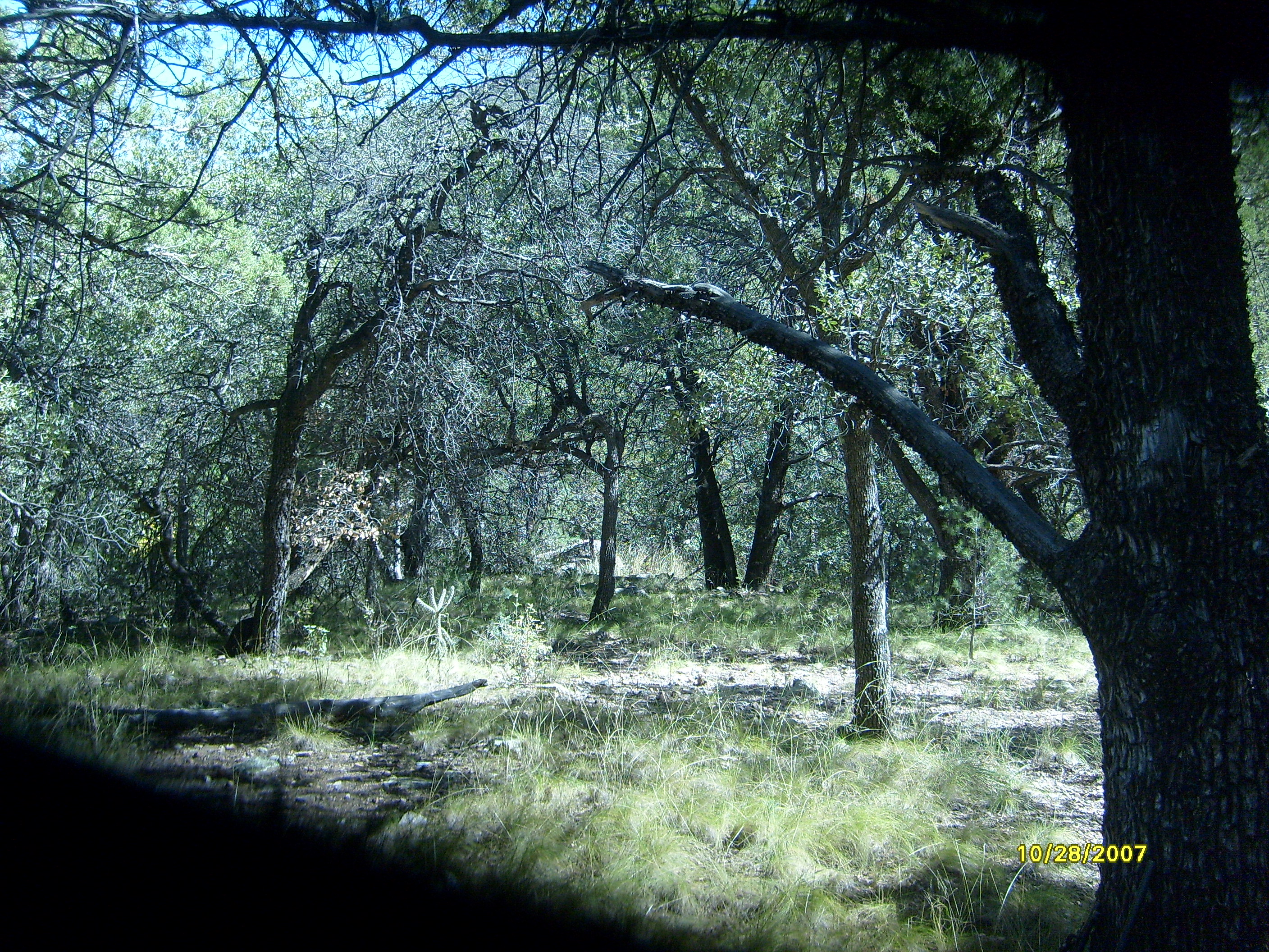Brown Canyon Trail