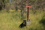 photo thumbnail #2