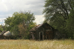 photo thumbnail #5