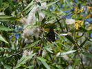 photo thumbnail #5