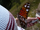 photo thumbnail #12