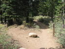 photo thumbnail #3