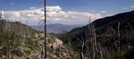 photo thumbnail #12