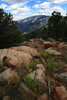 photo thumbnail #7