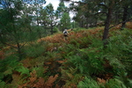 photo thumbnail #9