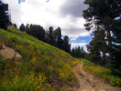 photo thumbnail #14