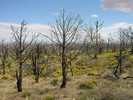 photo thumbnail #8