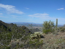 photo thumbnail #3