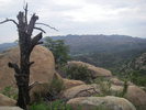 photo thumbnail #2