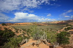 photo thumbnail #1