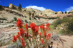 photo thumbnail #5