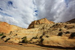 photo thumbnail #14