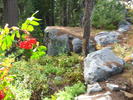 photo thumbnail #6