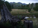 photo thumbnail #1