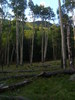 photo thumbnail #10