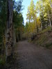 photo thumbnail #12