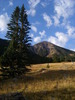 photo thumbnail #13