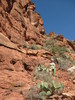 photo thumbnail #3