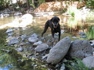 photo thumbnail #7