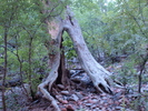 photo thumbnail #10