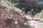 photo thumbnail #12