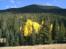 photo thumbnail #13