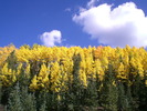 photo thumbnail #15