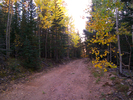 photo thumbnail #3