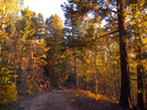 photo thumbnail #4
