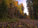 photo thumbnail #6